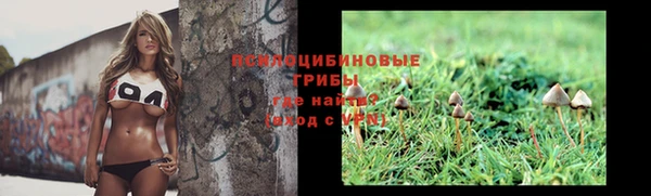 ALPHA PVP Зерноград