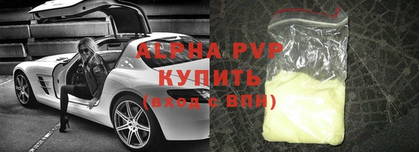 стаф Инсар