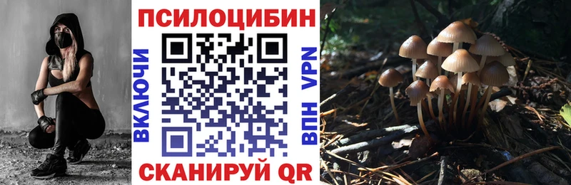 Галлюциногенные грибы Psilocybine cubensis  Купить закладки  Артём 